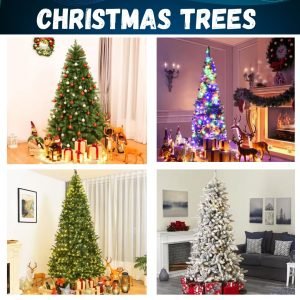 Christmas Trees @Home Depot !