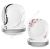 Dinner Plates Set of 6