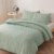 SLEEPBELLA Sage Green King Size Comforter Set