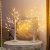 2 Pack Lighted Birch Tree with Timer
